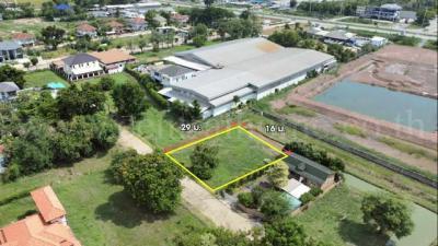 ที่ดิน 1390000 ปทุมธานี สามโคก ท้ายเกาะ