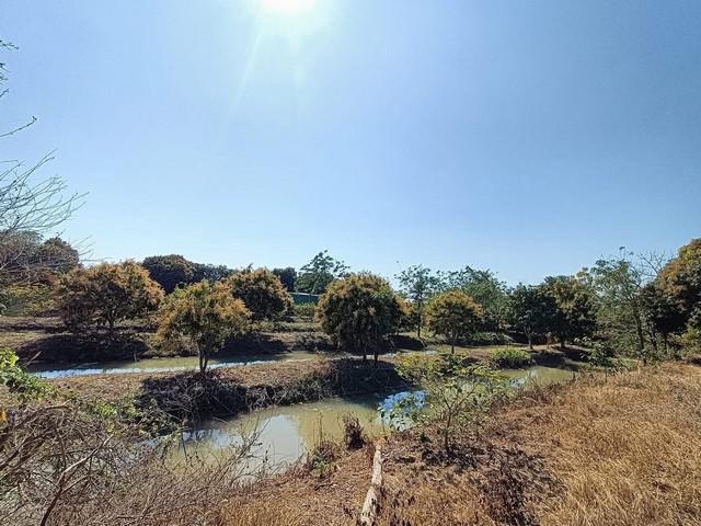 บ้านเดี่ยว 2800000 เพชรบูรณ์ ศรีเทพ ศรีเทพ