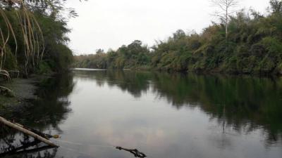 ที่ดิน 25000 กาญจนบุรี ทองผาภูมิ ลิ่นถิ่น