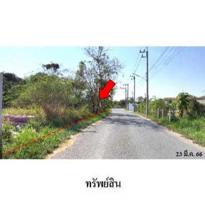 ที่ดิน 11672400 ชลบุรี เมืองชลบุรี เหมือง