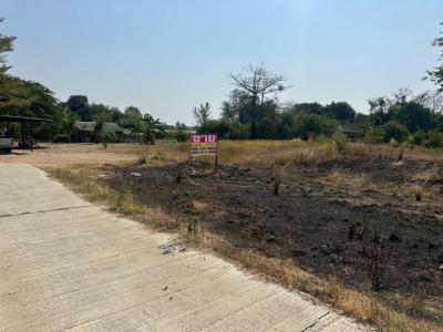 ที่ดิน 1600000 ชลบุรี พนัสนิคม นามะตูม