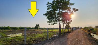 ที่ดิน 850000 ปทุมธานี หนองเสือ หนองสามวัง