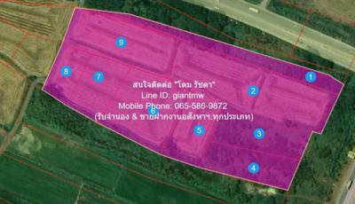 ที่ดิน 118000000 พระนครศรีอยุธยา บางปะหัน ตานิม