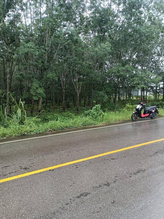 ที่ดิน 10400000 จันทบุรี นายายอาม วังโตนด