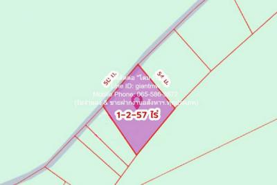 ที่ดิน 9855000 นครศรีธรรมราช ขนอม ท้องเนียน