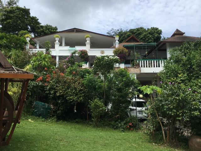 ที่ดิน 139000000 ภูเก็ต เมืองภูเก็ต ฉลอง