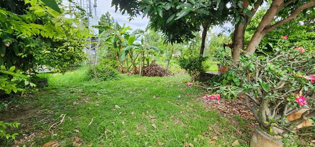 ที่ดิน 8250000 กรุงเทพมหานคร เขตสายไหม สายไหม