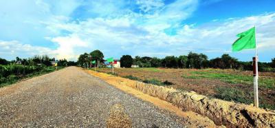 ที่ดิน 790000 ปทุมธานี หนองเสือ ศาลาครุ