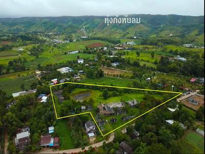 โรงแรม 60000000 เพชรบูรณ์ เขาค้อ ทุ่งสมอ