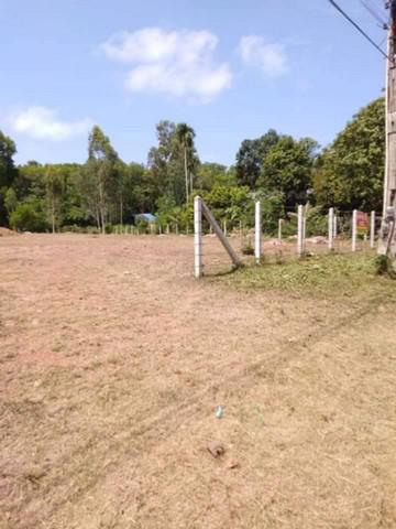 ที่ดิน 2800000 ระยอง แกลง ชากพง