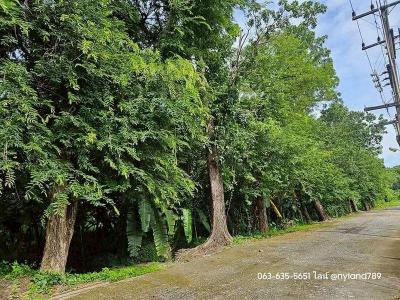 ที่ดิน 1200000 นครนายก เมืองนครนายก พรหมณี