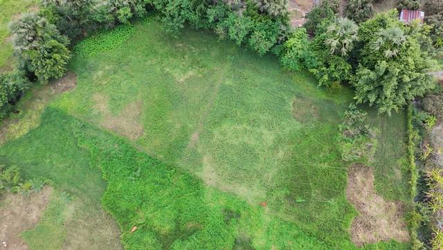 ที่ดิน 1700000 เชียงใหม่ สันป่าตอง บ้านกลาง