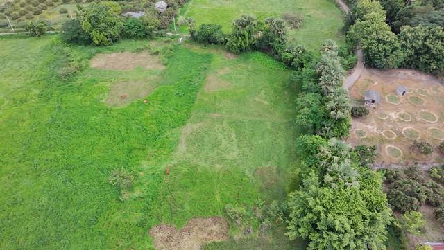 ที่ดิน 1700000 เชียงใหม่ สันป่าตอง บ้านกลาง