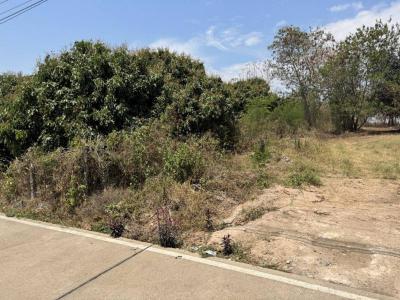 ที่ดิน 14760000 เชียงใหม่ สันทราย ป่าไผ่