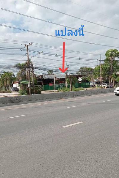 ที่ดิน 8000000 ปทุมธานี ธัญบุรี บึงสนั่น