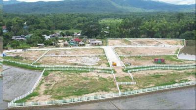 ที่ดิน 3999999 เชียงใหม่ แม่ริม ห้วยทราย