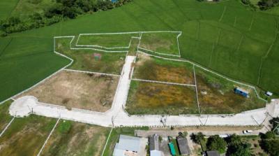 ที่ดิน 6272000 เชียงใหม่ แม่ริม ห้วยทราย