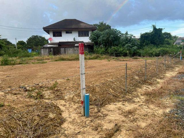 ที่ดิน 2160000 เชียงใหม่ หางดง หนองควาย