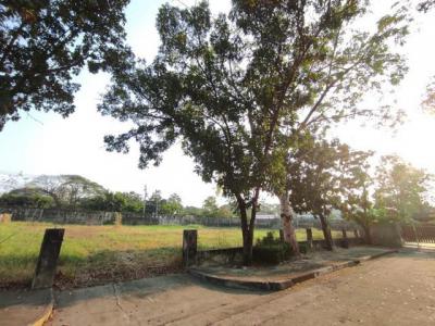 ที่ดิน 30780000 กรุงเทพมหานคร เขตคันนายาว คันนายาว