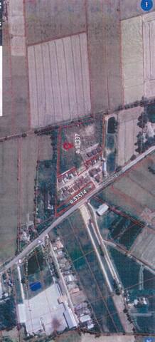 ที่ดิน 8000000 เชียงราย แม่สาย ศรีเมืองชุม