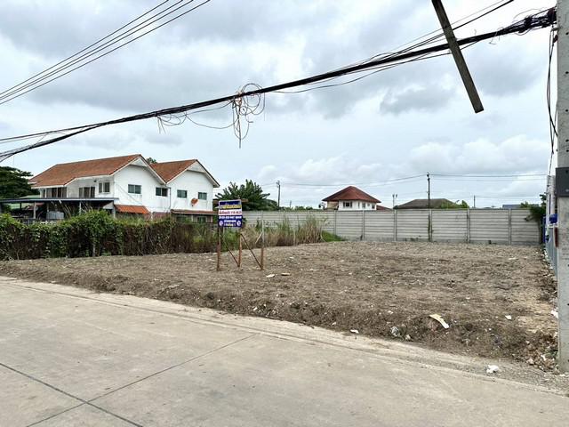 ที่ดิน 65000 กรุงเทพมหานคร เขตบึงกุ่ม คลองกุ่ม