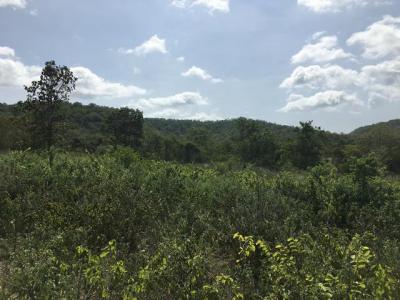 ที่ดิน 23000000 ประจวบคีรีขันธ์ หัวหิน หินเหล็กไฟ