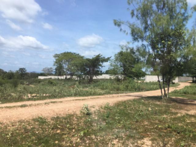 ที่ดิน 23000000 ประจวบคีรีขันธ์ หัวหิน หินเหล็กไฟ