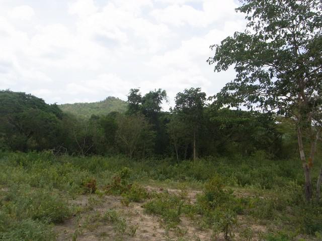 ที่ดิน 23000000 ประจวบคีรีขันธ์ หัวหิน หินเหล็กไฟ