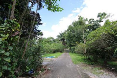 ที่ดิน 9500000 เชียงใหม่ แม่ริม แม่แรม