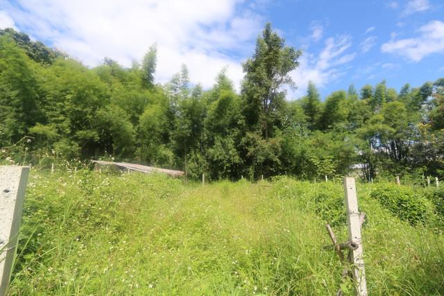 ที่ดิน 9500000 เชียงใหม่ แม่ริม แม่แรม