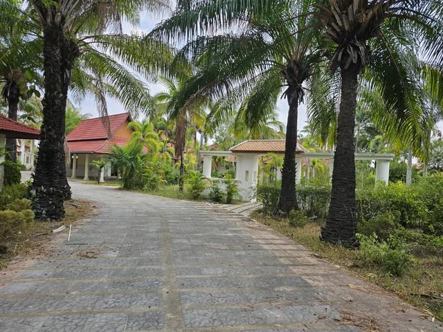 ที่ดิน 90000000 ชลบุรี บางละมุง ห้วยใหญ่