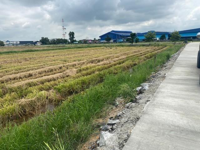 ที่ดิน 3500000 ฉะเชิงเทรา เมืองฉะเชิงเทรา คลองอุดมชลจร