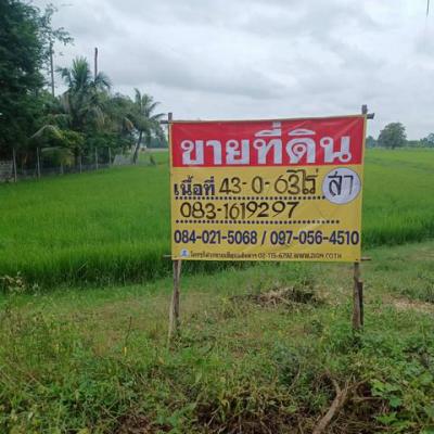 ที่ดิน 86325000 พิษณุโลก เมืองพิษณุโลก บ้านกร่าง