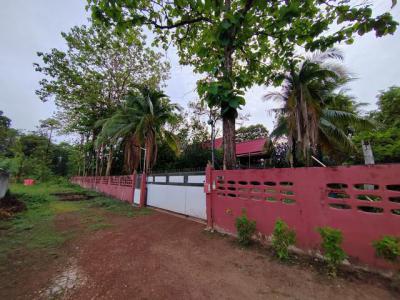 ที่ดิน 24000000 อำนาจเจริญ เมืองอำนาจเจริญ บุ่ง