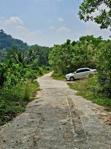 ที่ดิน 25000000 ภูเก็ต กะทู้ กะทู้