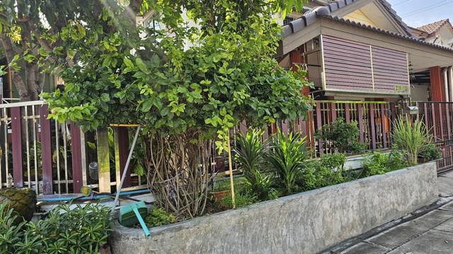 ทาวน์เฮาส์ 3700000 นครปฐม สามพราน กระทุ่มล้ม