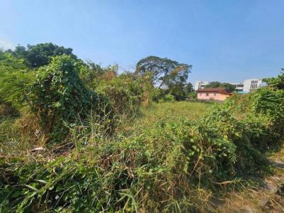 ที่ดิน 96000 กรุงเทพมหานคร เขตบางกะปิ คลองจั่น