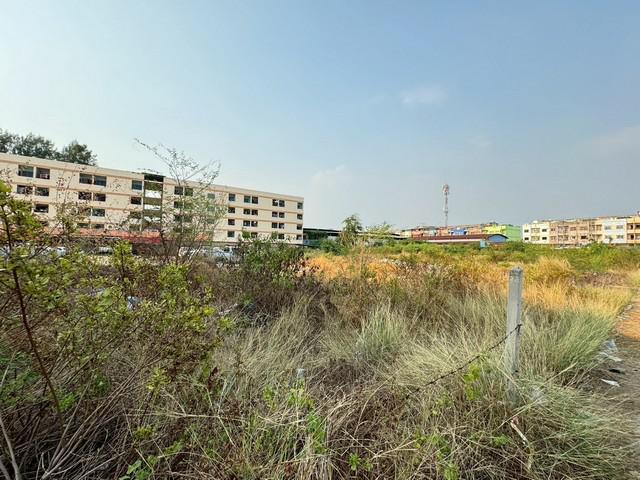 ที่ดิน 8000000 สมุทรสาคร เมืองสมุทรสาคร คอกกระบือ