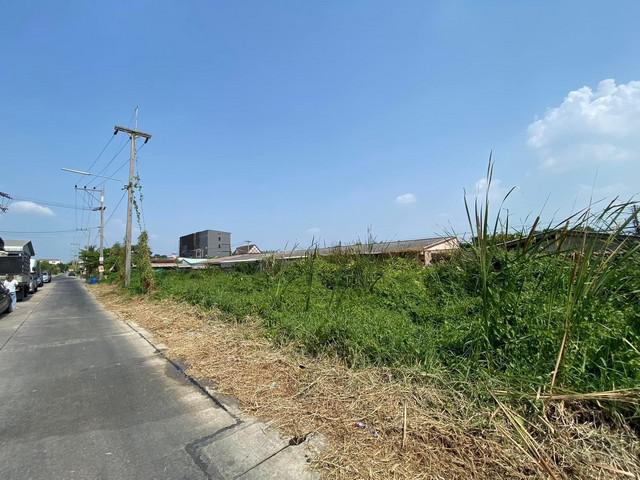 ที่ดิน 2500000 ปทุมธานี ลำลูกกา ลาดสวาย