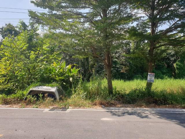 ที่ดิน 1000000 ปทุมธานี ธัญบุรี ลำผักกูด