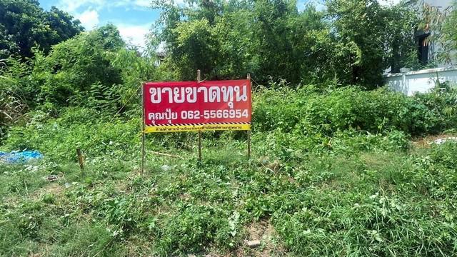 ที่ดิน 1800000 สมุทรปราการ บางพลี บางโฉลง