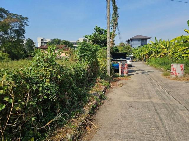 ที่ดิน 96000 กรุงเทพมหานคร เขตบางกะปิ คลองจั่น