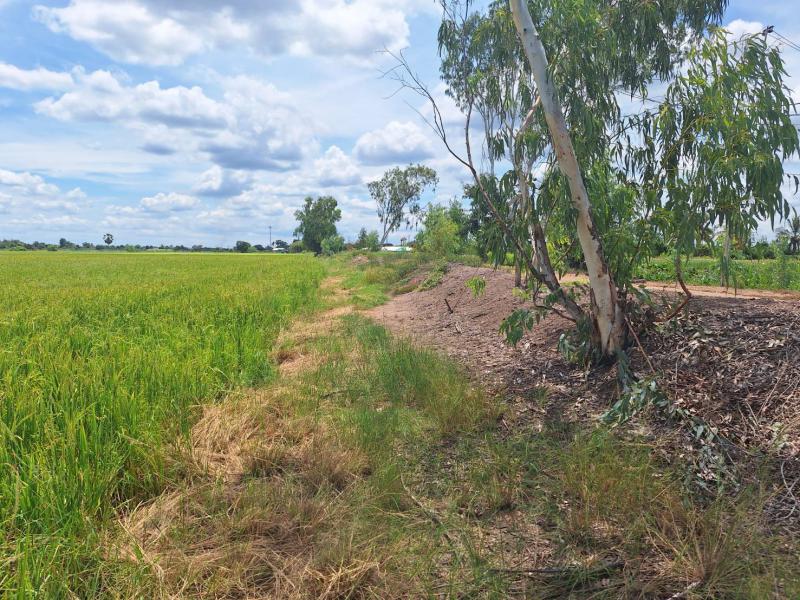 ที่ดิน 15400000 นครปฐม กำแพงแสน ห้วยม่วง