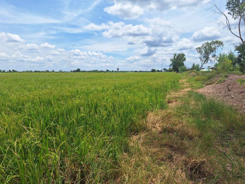 ที่ดิน 15400000 นครปฐม กำแพงแสน ห้วยม่วง