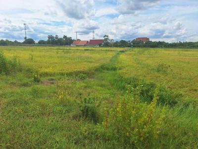 ที่ดิน 2800000 นครปฐม กำแพงแสน สระพัฒนา