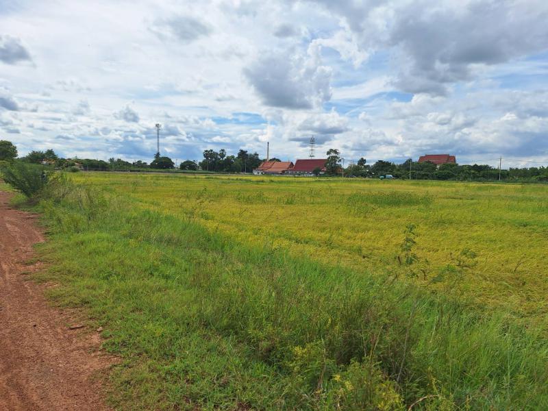 ที่ดิน 2800000 นครปฐม กำแพงแสน สระพัฒนา