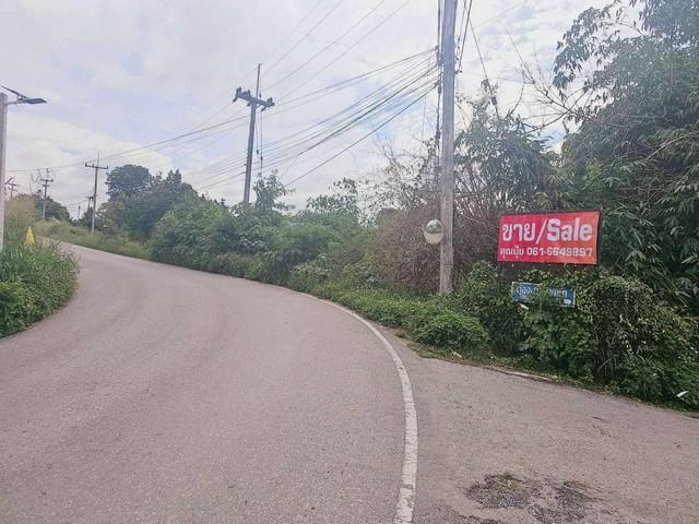 ที่ดิน 5500000 นครราชสีมา ปากช่อง ขนงพระ