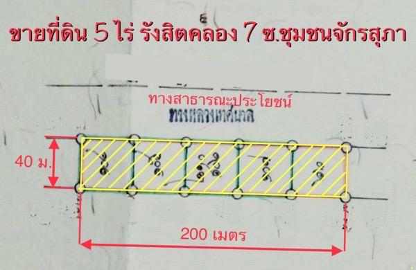 ที่ดิน 3999999 ปทุมธานี ธัญบุรี ลำผักกูด