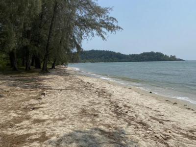 ที่ดิน 5900000 ตราด เมืองตราด แหลมกลัด