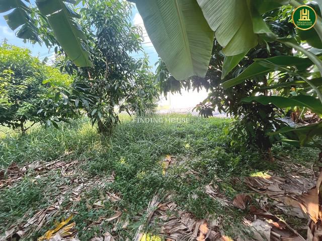 ที่ดิน 8700000 กรุงเทพมหานคร เขตสายไหม สายไหม